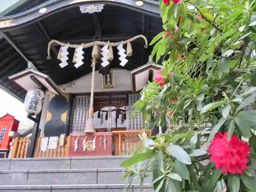 築土神社の本殿