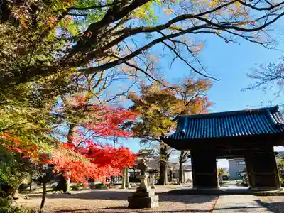 渡岸寺観音堂(向源寺)の山門・神門