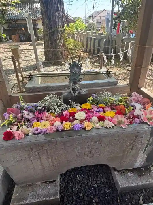 玉前神社の{uncategorized: "未分類", other: "その他", undefined: "問題あり", building: "その他建物", grave: "お墓", sacred_gate: "鳥居", guardian: "狛犬", statue: "像", buddha: "仏像", history: "歴史", nature: "自然", garden: "庭園", animal: "動物", pagoda: "塔", temizu: "手水舎", mountain_gate: "山門・神門", sanctuary: "本殿・本堂", subordinate: "末社・摂社", art: "芸術", scenery: "景色", jizo: "地蔵", ema: "絵馬", goshuin: "御朱印", omikuji: "おみくじ", items: "授与品その他", amulet: "お守り", goshuincho: "御朱印帳", eats: "食事", festival: "お祭り", votive_dance: "神楽", shichigosan: "七五三参", wedding: "結婚式", experience: "体験その他", initially: "初詣", around: "周辺", anti_infection: "感染症対策"}