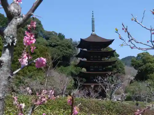 瑠璃光寺(山口県)