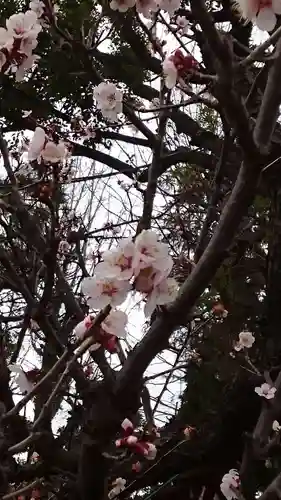 居木神社(東京都)