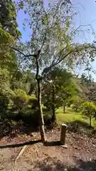 八幡神社(滋賀県)