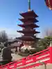 飯沼山 圓福寺の塔