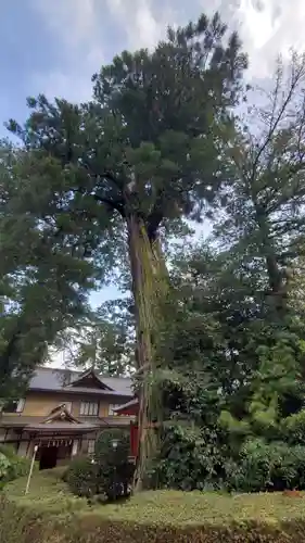 香取神宮の自然