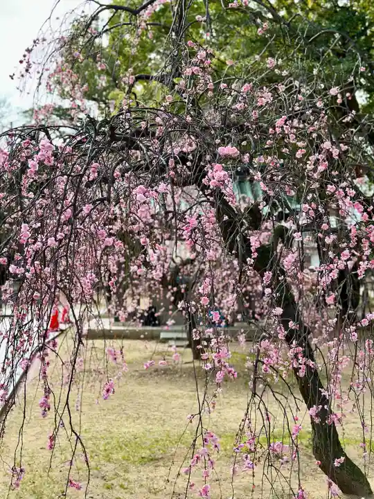 屯倉神社(大阪府)