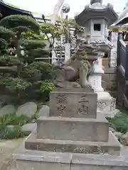 大鷲神社の狛犬