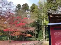 圓教寺の自然