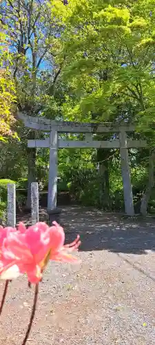 氷上神社の{uncategorized: "未分類", other: "その他", undefined: "問題あり", building: "その他建物", grave: "お墓", sacred_gate: "鳥居", guardian: "狛犬", statue: "像", buddha: "仏像", history: "歴史", nature: "自然", garden: "庭園", animal: "動物", pagoda: "塔", temizu: "手水舎", mountain_gate: "山門・神門", sanctuary: "本殿・本堂", subordinate: "末社・摂社", art: "芸術", scenery: "景色", jizo: "地蔵", ema: "絵馬", goshuin: "御朱印", omikuji: "おみくじ", items: "授与品その他", amulet: "お守り", goshuincho: "御朱印帳", eats: "食事", festival: "お祭り", votive_dance: "神楽", shichigosan: "七五三参", wedding: "結婚式", experience: "体験その他", initially: "初詣", around: "周辺", anti_infection: "感染症対策"}