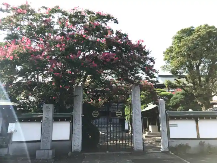 長松寺の山門・神門