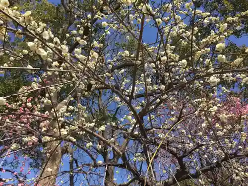 半城土天満神社の自然