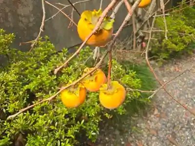 一乗院(京都府)