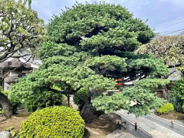 蓮華寺(東京都)