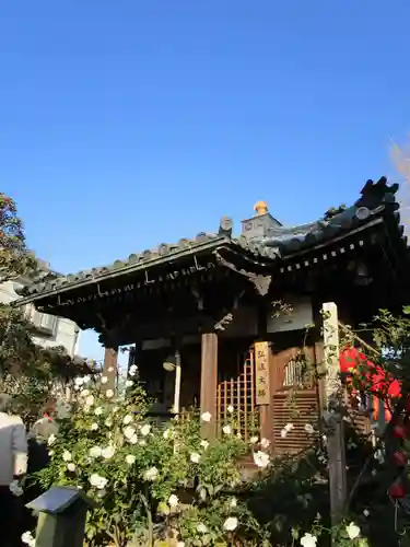 おふさ観音（観音寺）(奈良県)