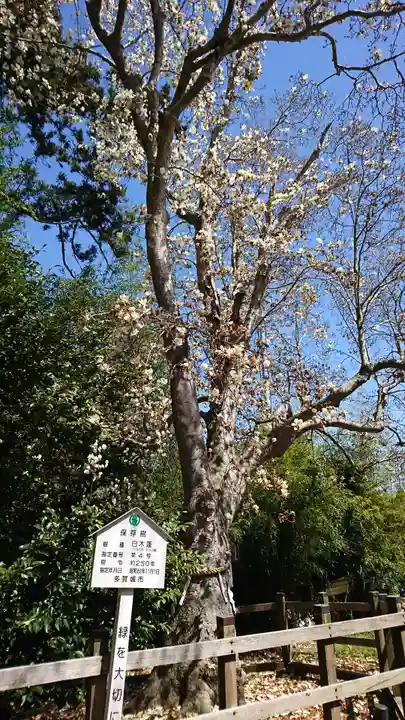 陸奥総社宮の自然