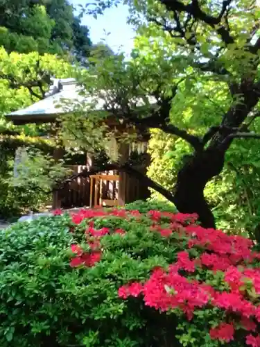 布多天神社(東京都)