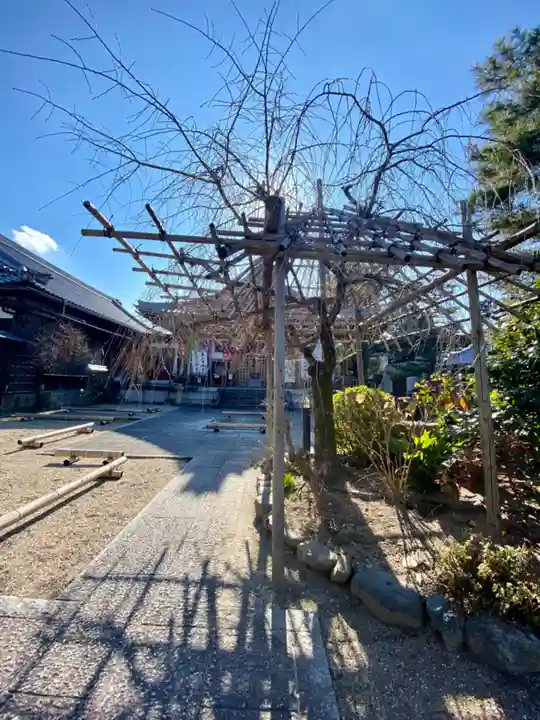 後白河院御聖蹟 法住寺の自然