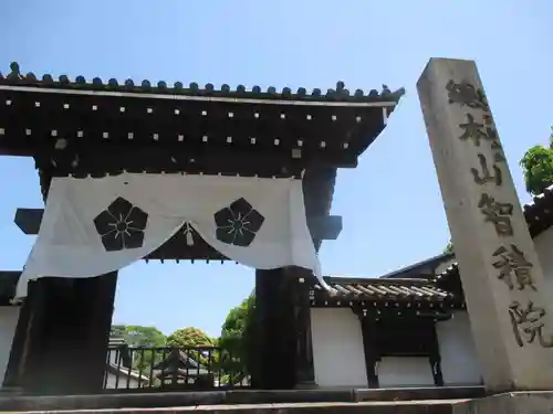 根来寺 智積院の山門