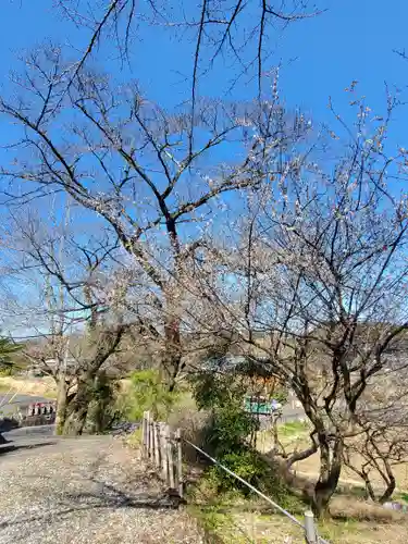 慈雲寺(栃木県)