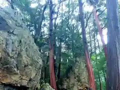 渭伊神社の建物その他