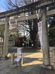 鳩森八幡神社の鳥居