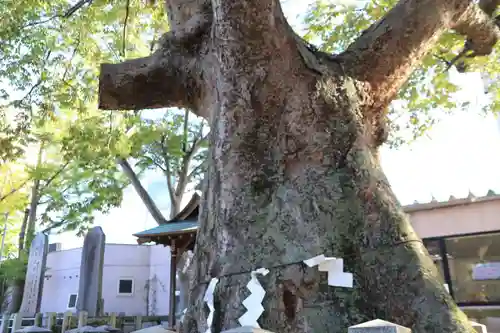 阿邪訶根神社の自然