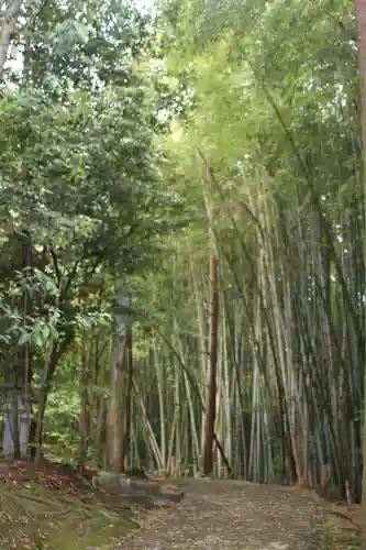 鎮守神社(滋賀県)