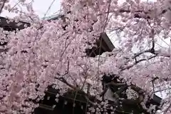 氷室神社(奈良県)