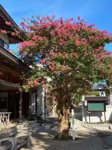 福永寺の庭園