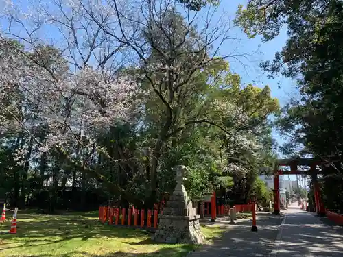 熊野速玉大社の自然