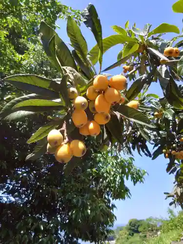 河内阿蘇神社(熊本県)