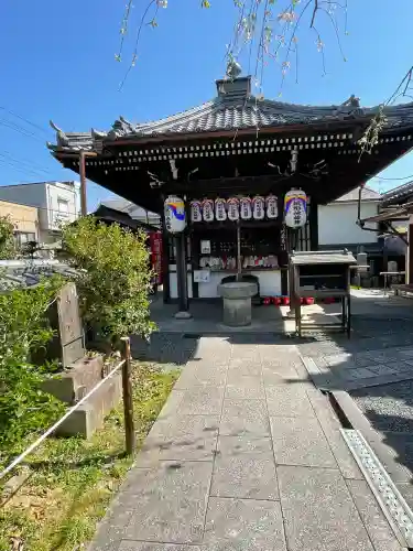 地蔵院（椿寺）(京都府)