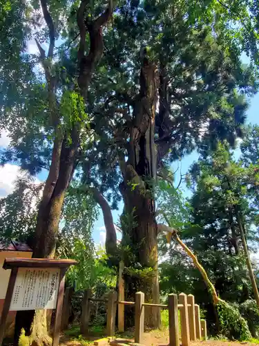 川辺八幡神社(福島県)