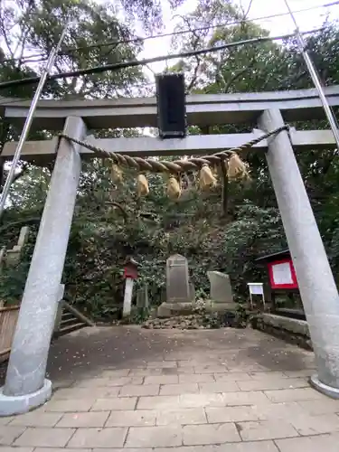 児玉神社の鳥居