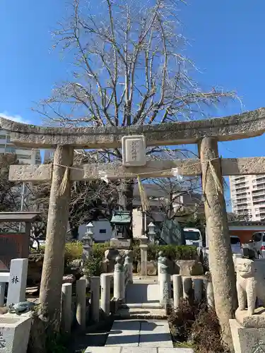 亀山八幡宮の鳥居