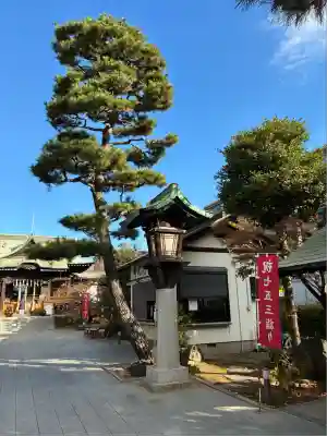 桜神宮(東京都)