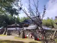 走田神社(京都府)