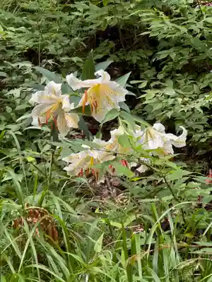 日枝神社(福島県)