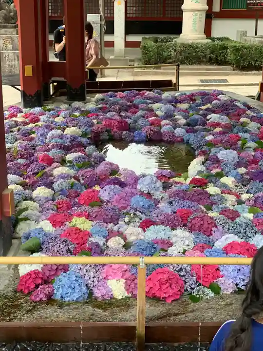 太宰府天満宮(福岡県)