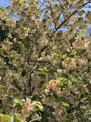 五所駒瀧神社(茨城県)