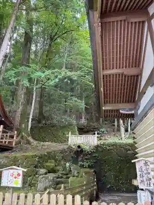 諏訪大社(長野県)