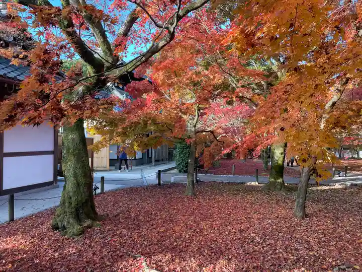 東福禅寺(東福寺)(京都府)