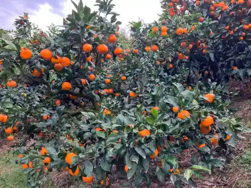 三郷八幡神社の自然