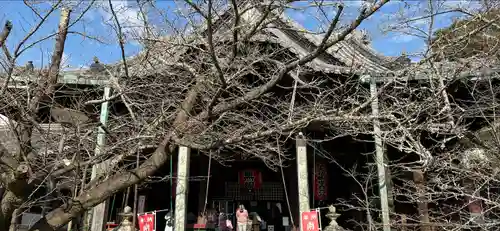 金剛宝寺（紀三井寺）の本殿・本堂