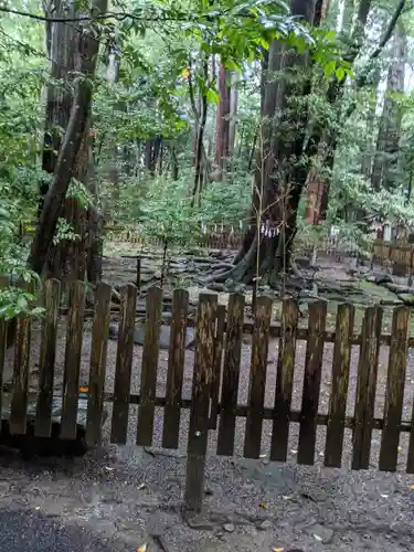 椿大神社(三重県)