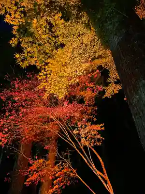 尊永寺(静岡県)