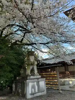 寒川神社(神奈川県)