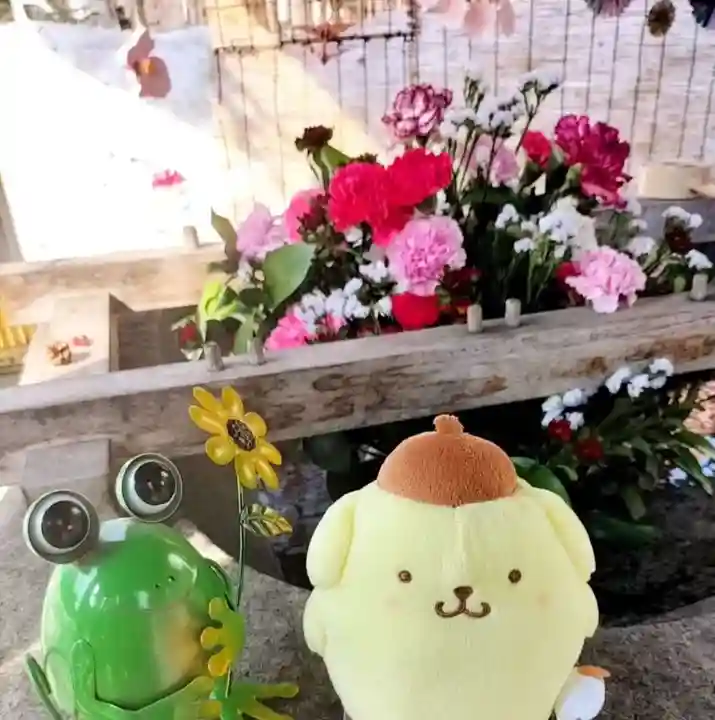 彌彦神社 (伊夜日子神社)の手水舎