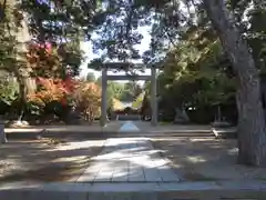 岩手護國神社の鳥居