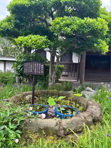 極楽寺（霊鷲山感應院極楽律寺）の庭園