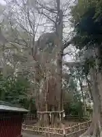 大國魂神社の{uncategorized: "未分類", other: "その他", undefined: "問題あり", building: "その他建物", grave: "お墓", sacred_gate: "鳥居", guardian: "狛犬", statue: "像", buddha: "仏像", history: "歴史", nature: "自然", garden: "庭園", animal: "動物", pagoda: "塔", temizu: "手水舎", mountain_gate: "山門・神門", sanctuary: "本殿・本堂", subordinate: "末社・摂社", art: "芸術", scenery: "景色", jizo: "地蔵", ema: "絵馬", goshuin: "御朱印", omikuji: "おみくじ", items: "授与品その他", amulet: "お守り", goshuincho: "御朱印帳", eats: "食事", festival: "お祭り", votive_dance: "神楽", shichigosan: "七五三参", wedding: "結婚式", experience: "体験その他", initially: "初詣", around: "周辺", anti_infection: "感染症対策"}